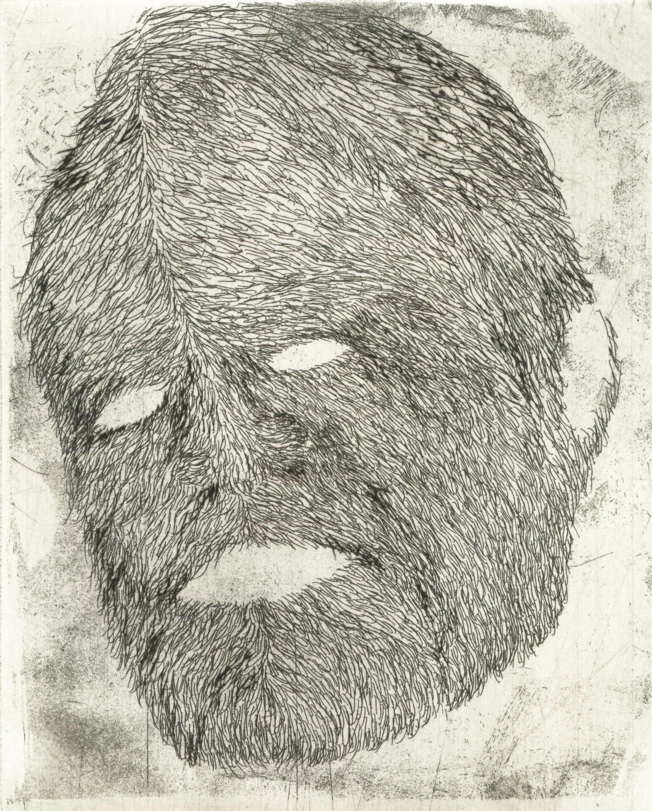 noiseetch2 hardground etching and drypoint